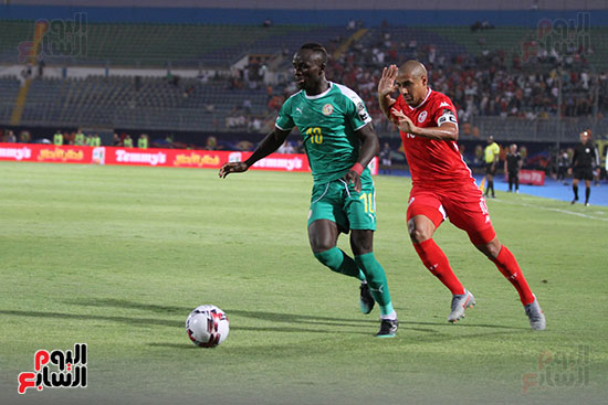 السنغال ضد تونس (7)