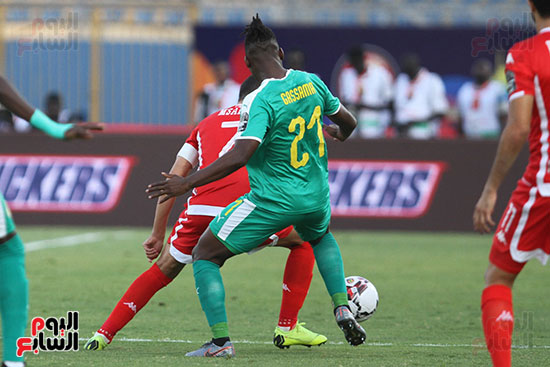 السنغال ضد تونس (2)