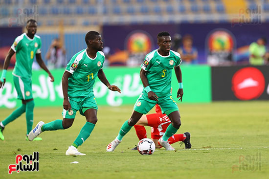 السنغال ضد تونس (41)