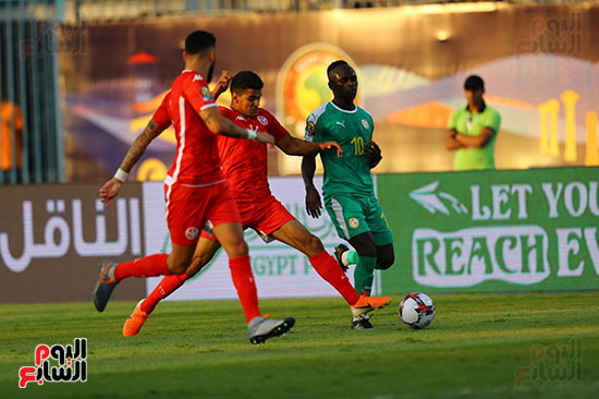 السنغال ضد تونس (43)