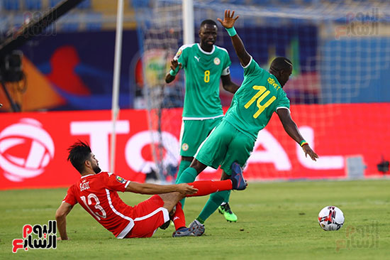 السنغال ضد تونس (51)