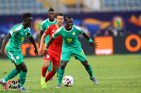 السنغال ضد تونس (32)