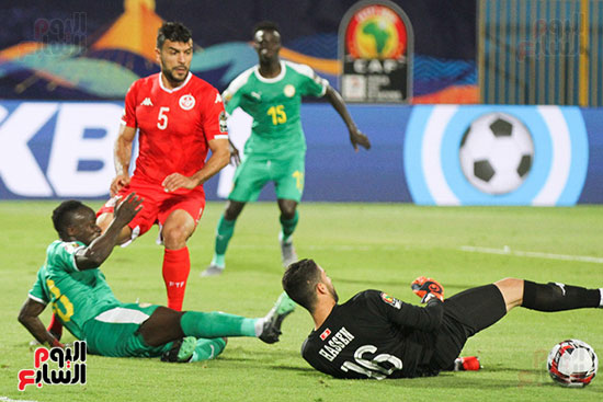 السنغال ضد تونس (10)