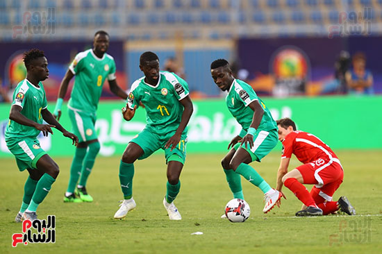 السنغال ضد تونس (40)
