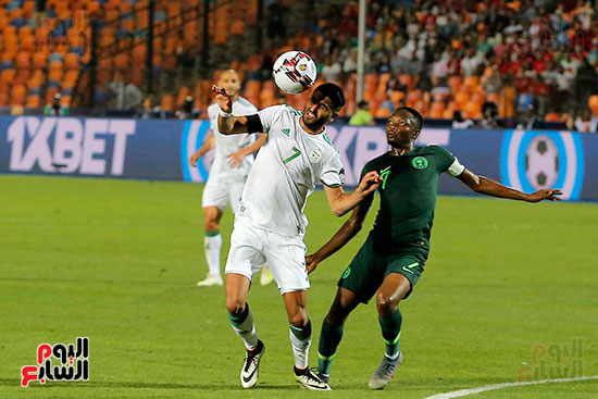 الجزائر ضد نيجيريا  (30)