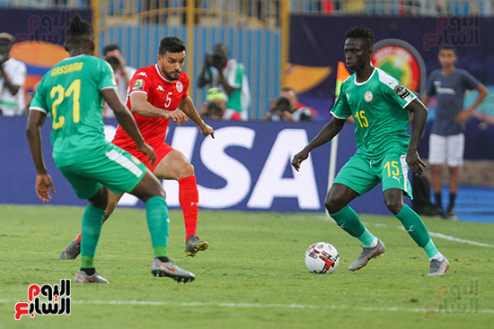 السنغال ضد تونس (8)