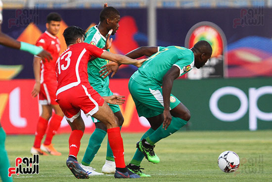 السنغال ضد تونس (20)
