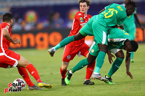 السنغال ضد تونس (33)