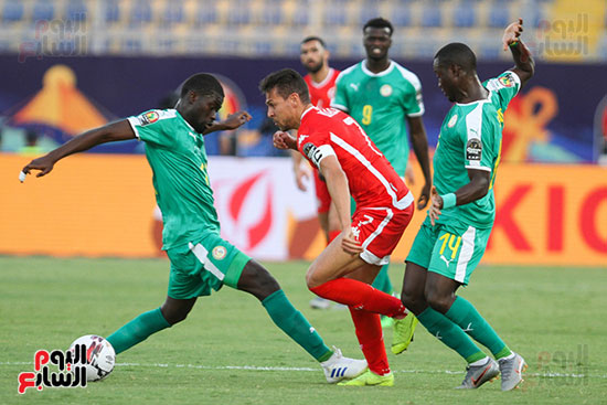 السنغال ضد تونس (23)