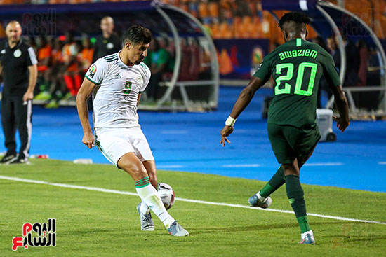 الجزائر ونيجيريا (13)