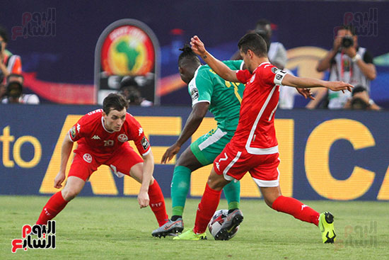 السنغال ضد تونس (12)