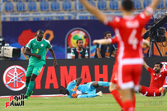 السنغال ضد تونس (57)