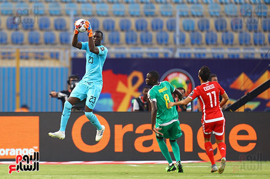 السنغال ضد تونس (65)