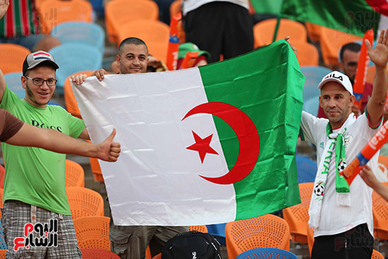 جماهير الجزائر ونيجيريا (21)