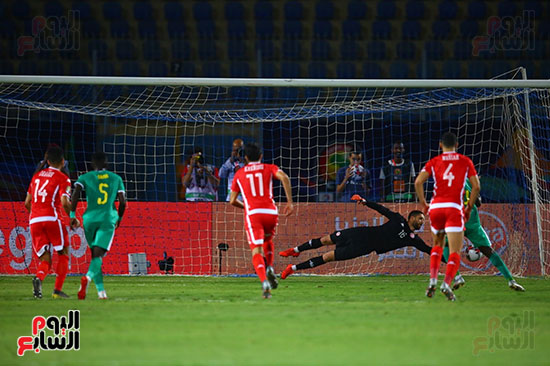 السنغال ضد تونس (14)