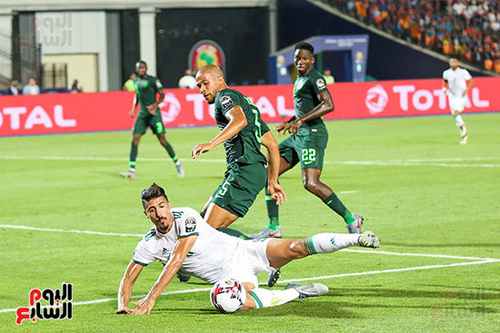 الجزائر ونيجيريا (2)