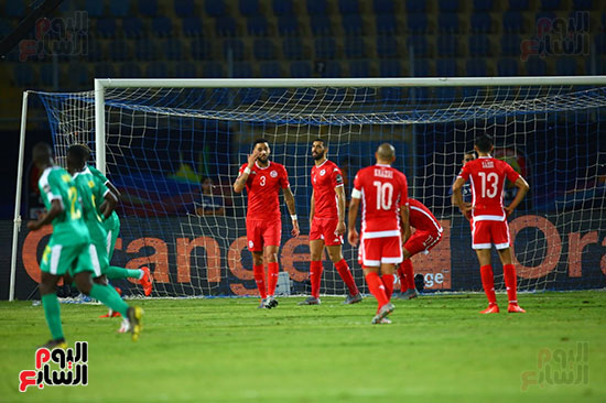 السنغال ضد تونس (31)