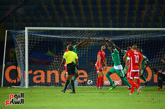 السنغال ضد تونس (29)