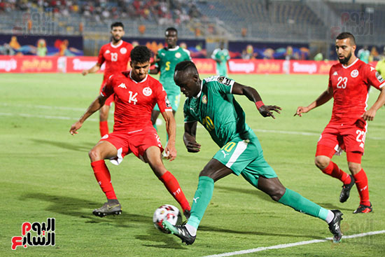 السنغال ضد تونس (18)
