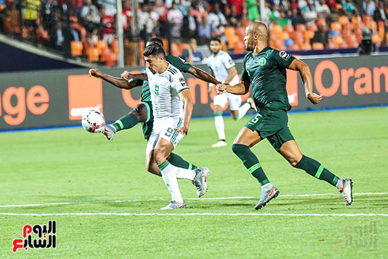 الجزائر ونيجيريا (5)