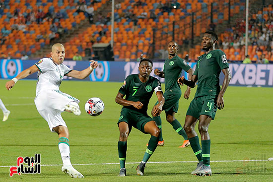 الجزائر ضد نيجيريا  (31)