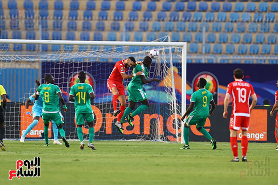 السنغال ضد تونس (48)