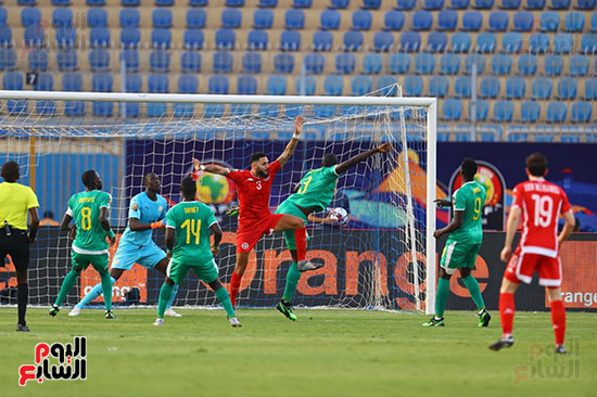 السنغال ضد تونس (49)