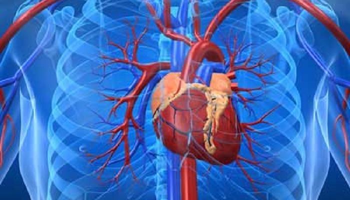 عوامل تزيد من مخاطر الاصابة بامراض القلب