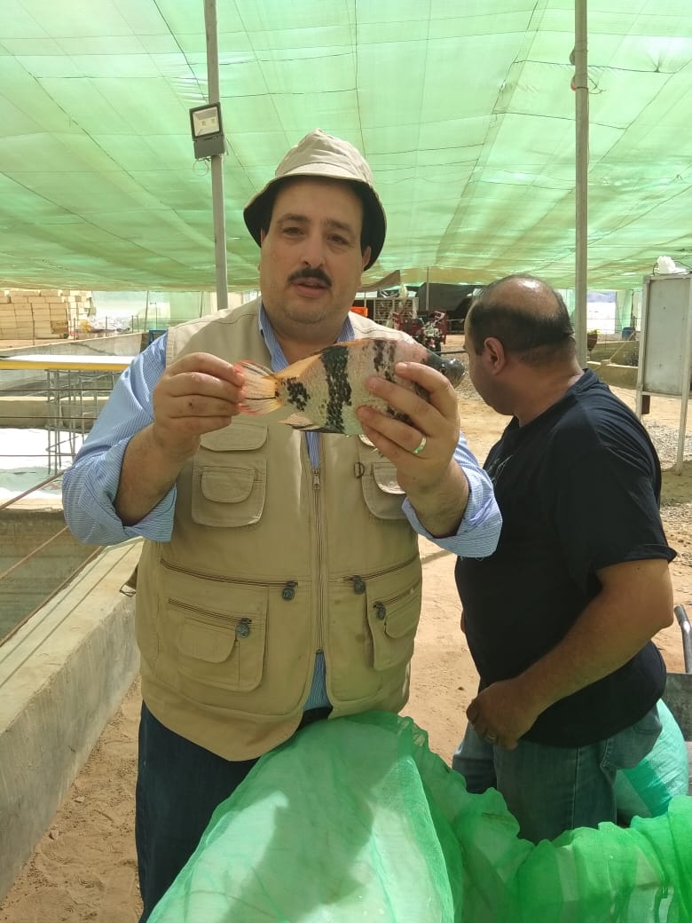 أول إنتاج لمزرعة سمكية من وادى حوضين بشلاتين بالبحر الأحمر (1)