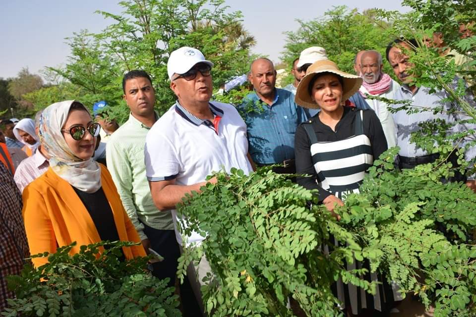 محافظ الوادي الجديد يفتتح مشروع زراعة أشجار المورينجا  (1)
