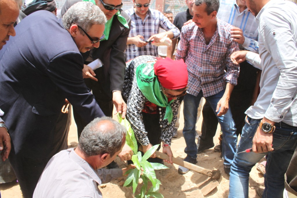 زراعة 100 شجرة مثمرة بقرية شقلقيل (8)