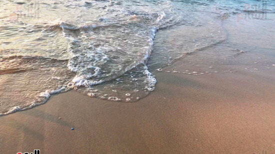شاطئ ظلال النخيل مكان مفضل للأستمتاع بالهدوء ولحظات الغروب (4)