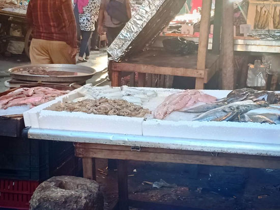 الأسماك فى أسواق الإسكندرية (3)