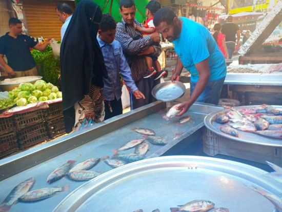 الأسماك فى أسواق الإسكندرية (1)