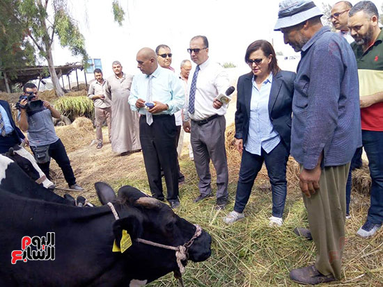 جولة نائب وزير الزراعة بالأكمنة لتحصين الماشية (1)