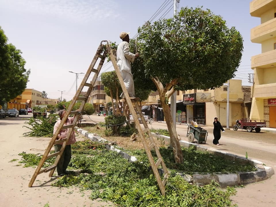 حملة نظافة وقص وتهذيب للأشجار العالية بمسار طريق القاهرة أسوان الزراعي (1)