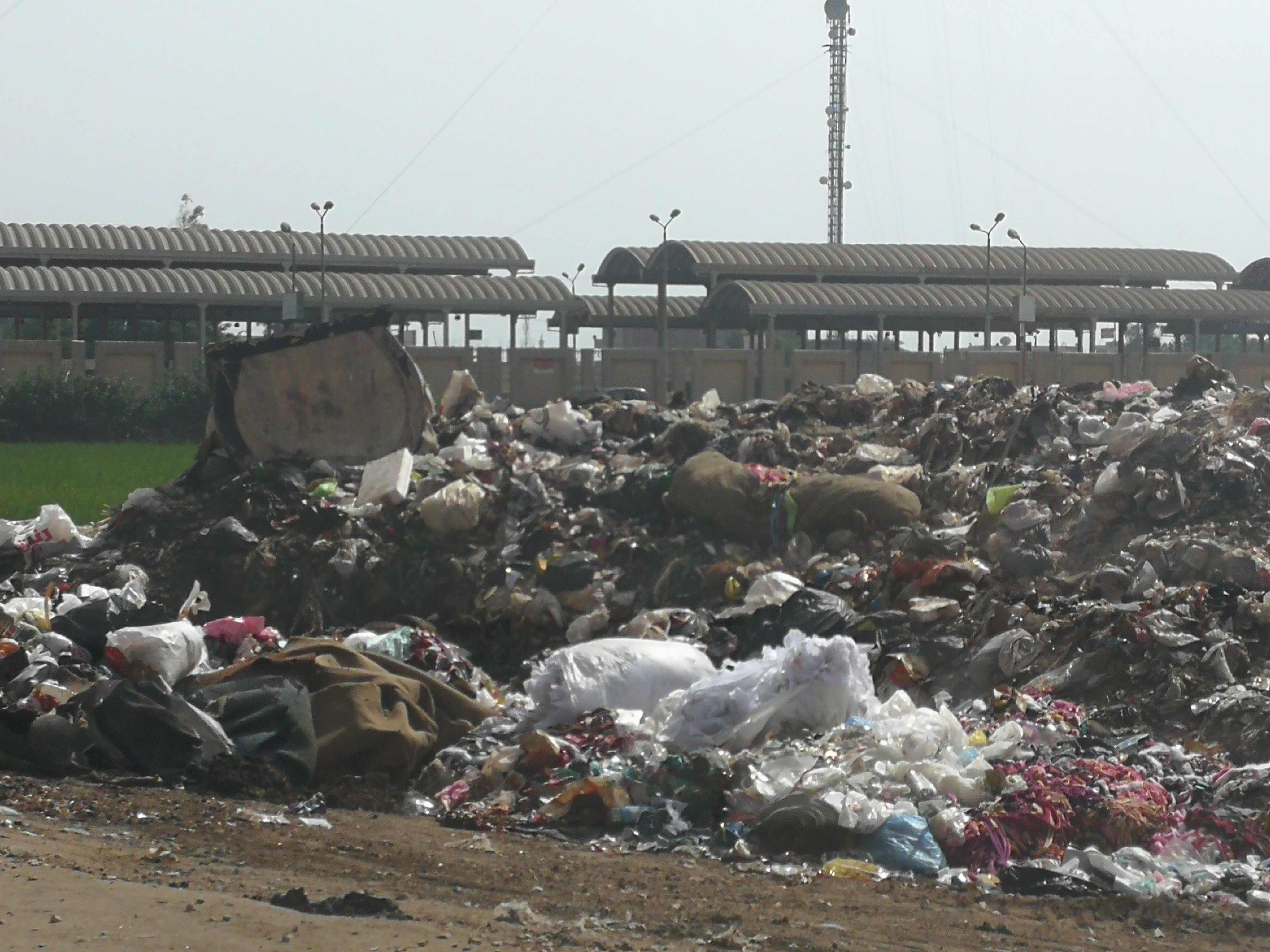 القمامة تحاصر شوارع المحلة (1)