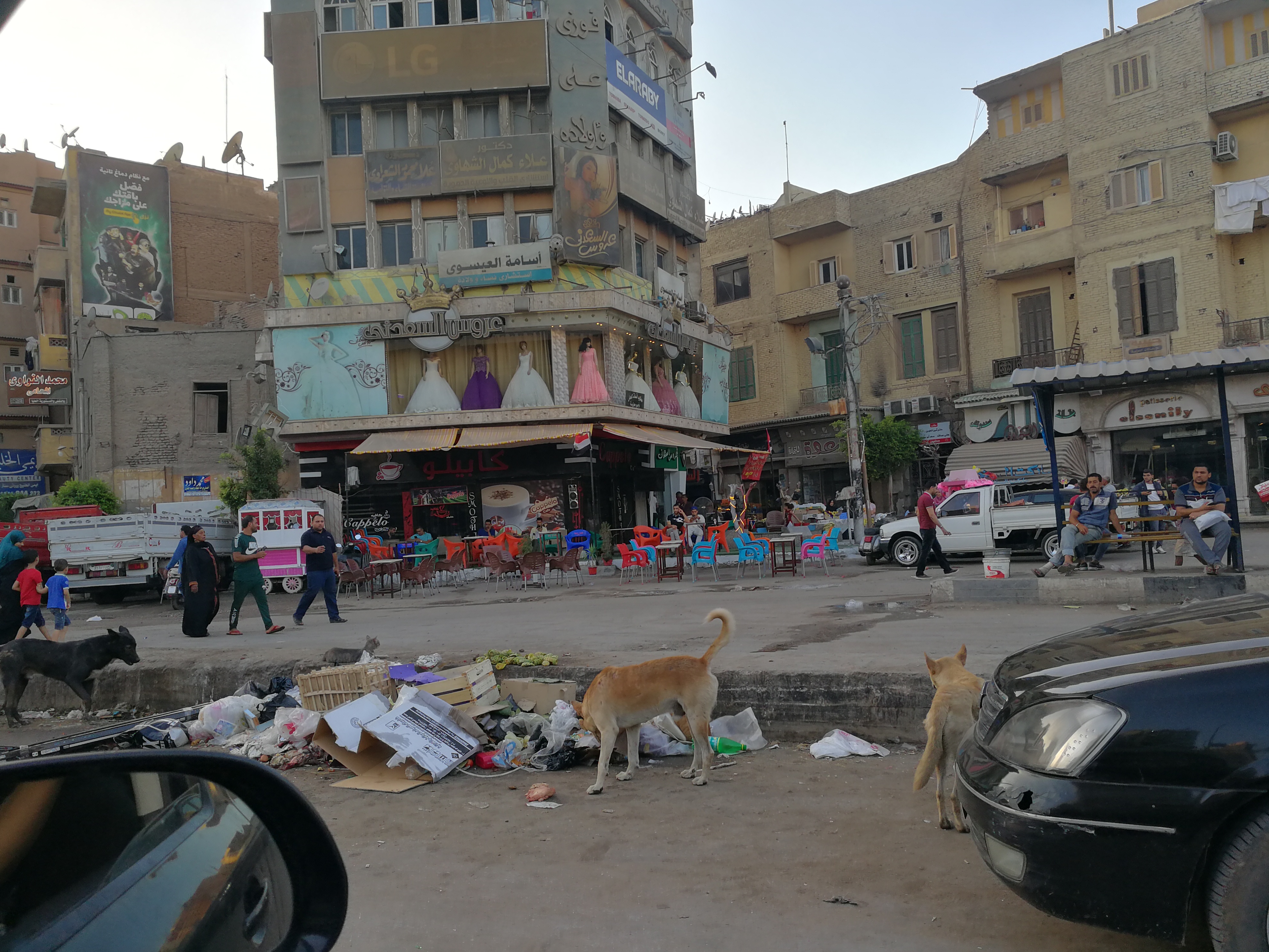 القمامة تحاصر شوارع المحلة (4)