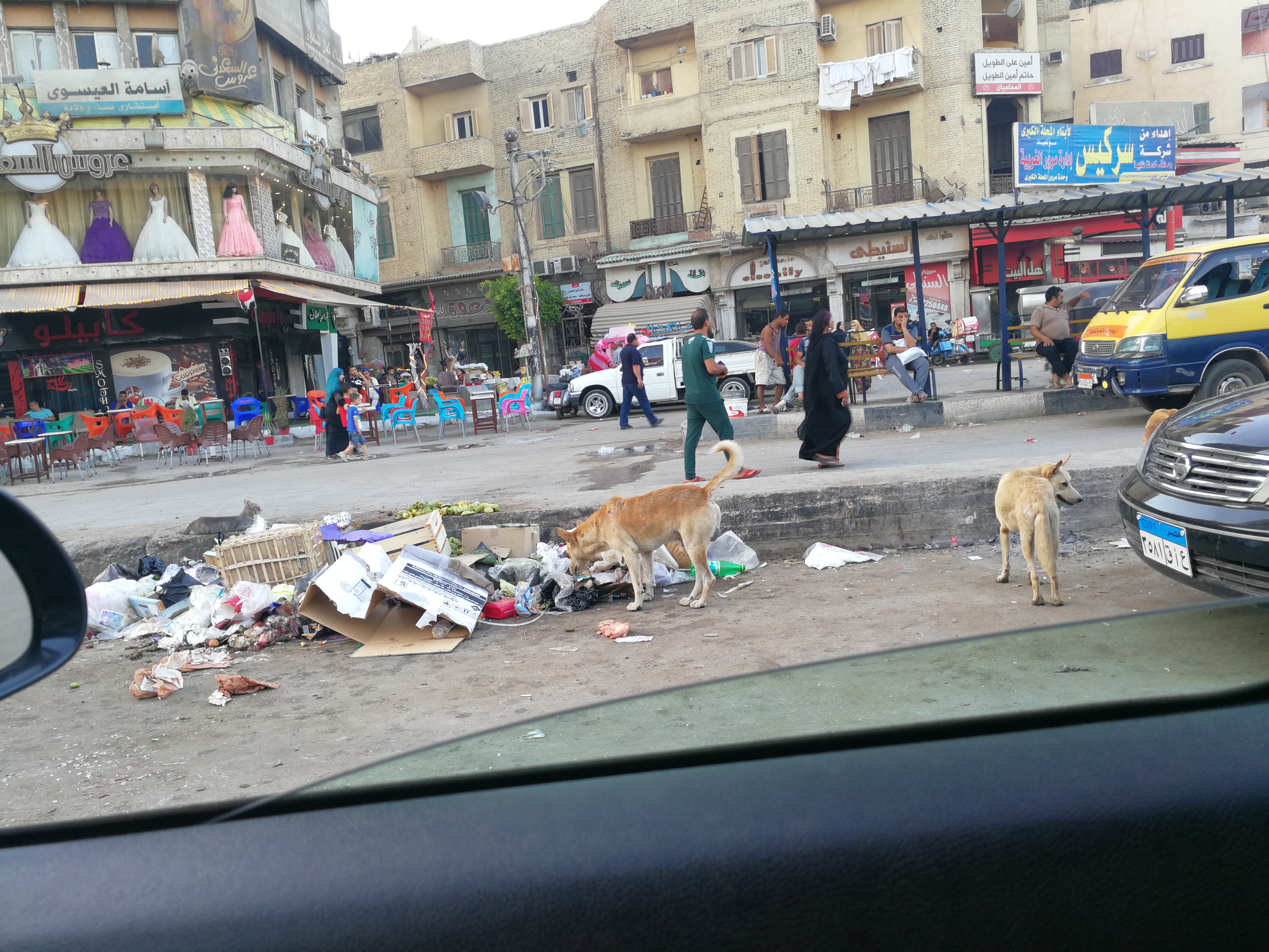 القمامة تحاصر شوارع المحلة (5)