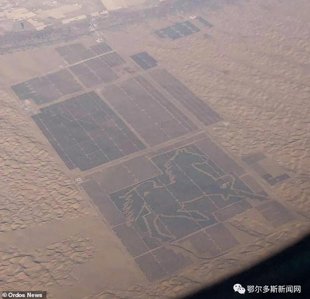 مزارع الطاقة الشمسية فى الصين  (3)