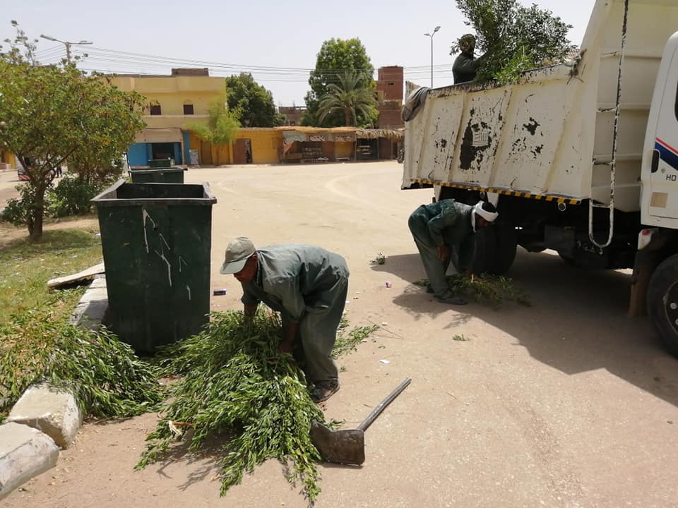 حملة نظافة وقص وتهذيب للأشجار العالية بمسار طريق القاهرة أسوان الزراعي (3)