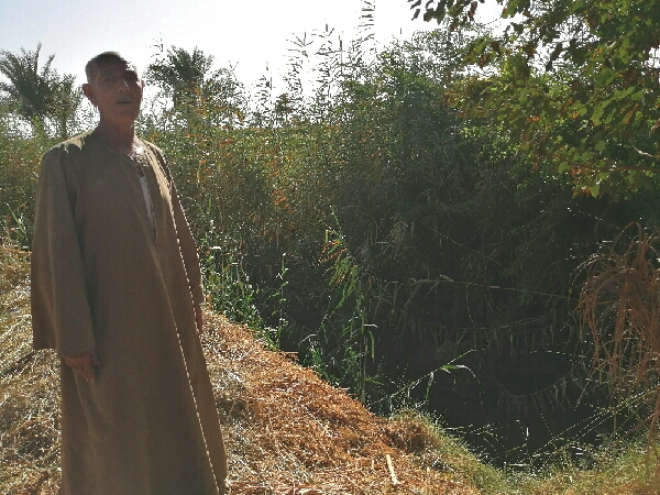 مزارع بجوار مكان القاء ماكينته فى الترعة