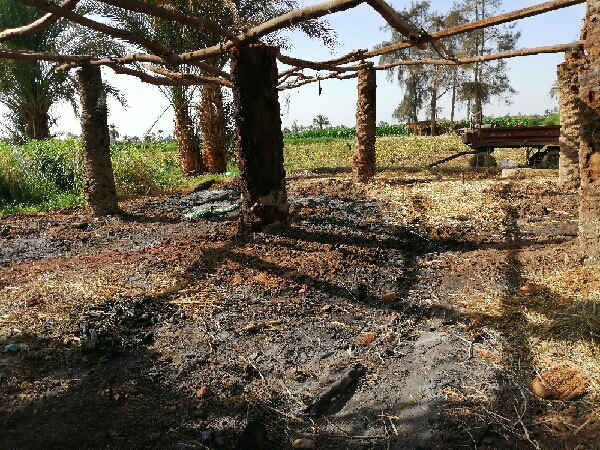 النيران أتت على عشش المواشي