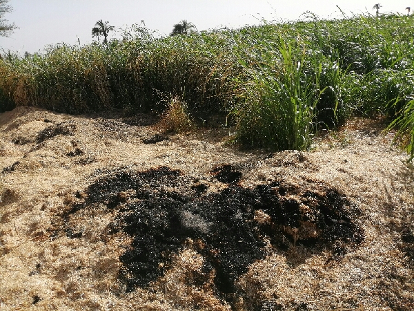 النيران التهمت اكوام تبن بآلاف الجنيهات