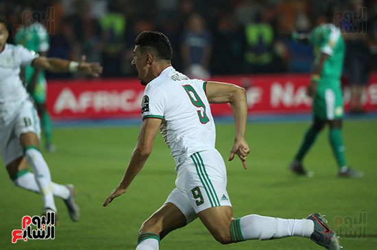 الجزائر والسنغال (42)