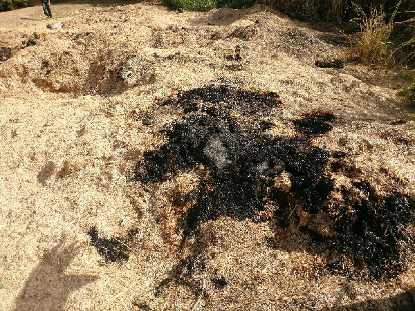 احتراق أكوام تبن القمح