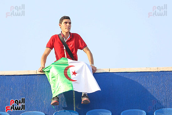 جماهير الجزائر والسنغال (26)
