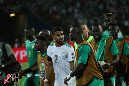اشتباكات لاعبى الجزائر والسنغال  (7)