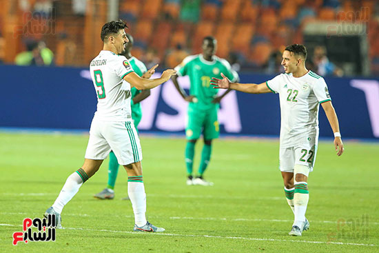 الجزائر والسنغال (10)