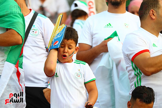 جماهير الجزائر والسنغال 0 (14)